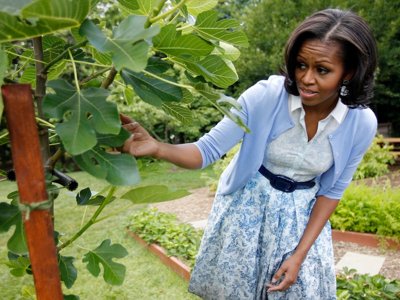 First lady Michelle Obama voert al jaren campagne voor gezondere eetgewoontes.
