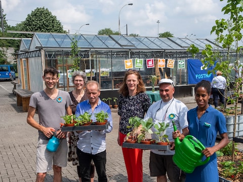 Archiefbeeld Stadsakker Berchem