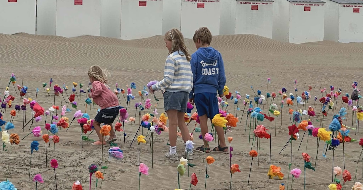 Bloemenzee op strand Nieuwpoort: “Bloem voor elk kind op de wachtlijst Pleegzorg Vlaanderen”