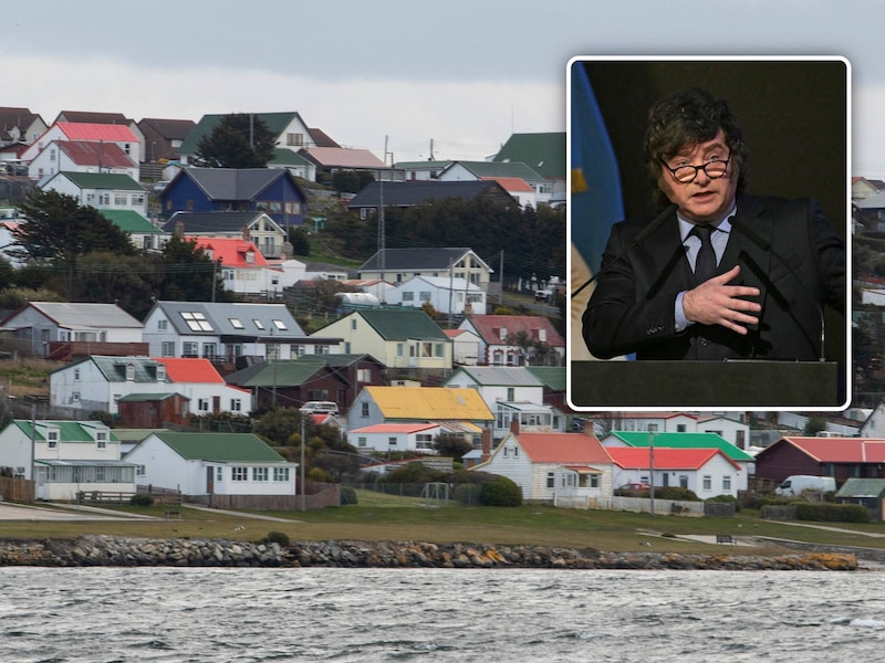 Argentijnse president Milei ziet "gunstige wind" om Falklandeilanden opnieuw op te eisen