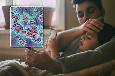 Zeker 145 doden door pneumokokkenbacterie in 2025: aantal zware infecties stijgt opnieuw fors