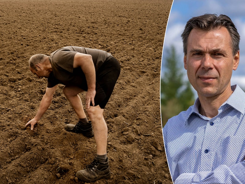 Waterpeilen zakken richting kritieke drempels. Droogtespecialist: “Je gazon hóéf je ook niet te besproeien. Dat wordt wel weer groen”