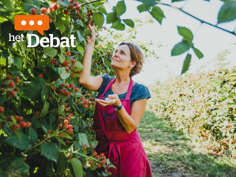 Nele Deweirdt in zelfpluktuin Purfruit in Oeselgem