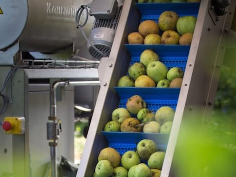 Themabeeld - de fruitpers 