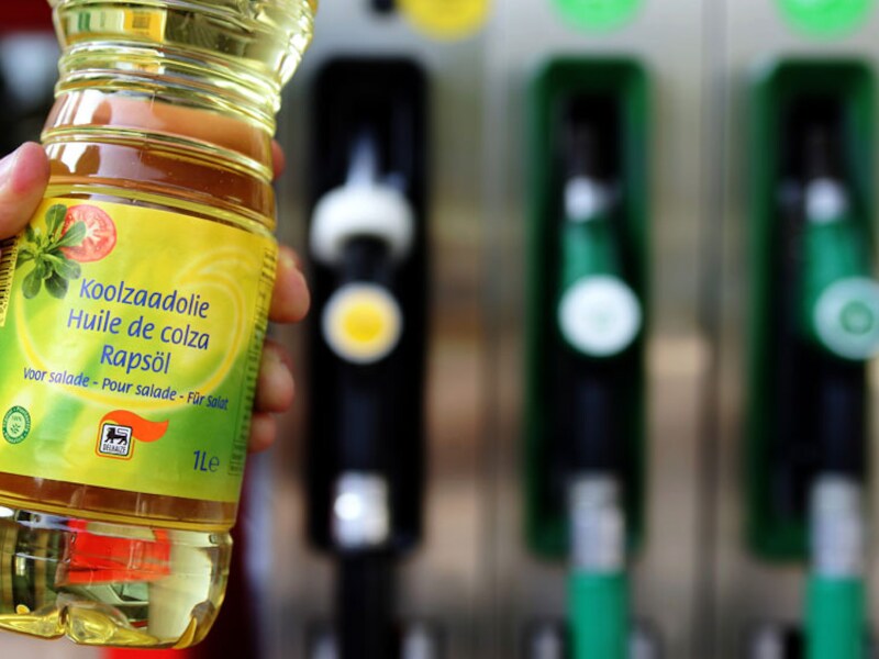 Biodiesel is schadelijker voor het milieu dan gewone diesel.