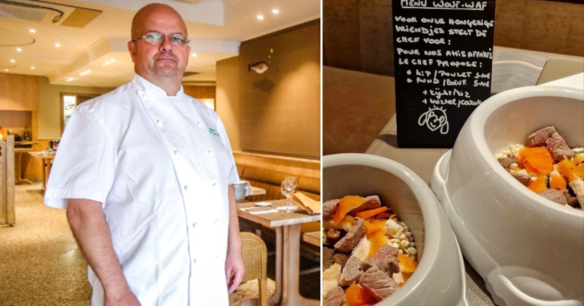 Chef Ignace lanceert menu voor hondjes in restaurant in Knokke: “Er ...
