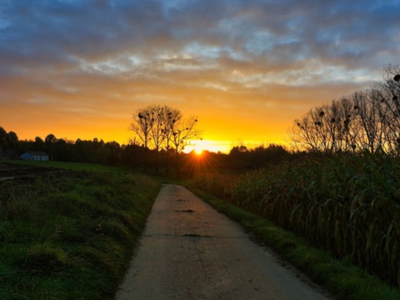 Zonsopgang levert mooi beeld op uit Tongeren