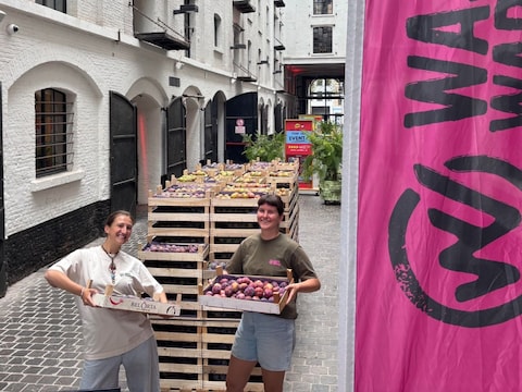 Waste Warriors redt afgedankte pruimen bij foodmarket Wolf op het Eilandje in Antwerpen.