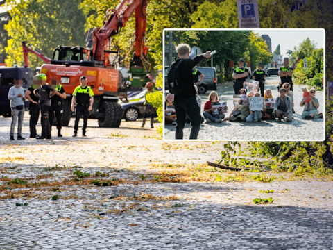  De massale bomenkap veroorzaakte vorig jaar grote ophef. 