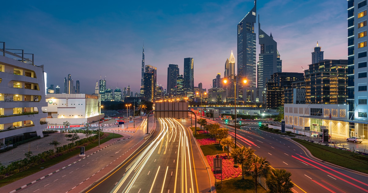 Tukli mushuklarning yaqindan olingan fotosuratlari