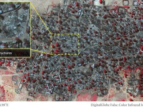 Satellietbeelden toonden de verwoesting van Baga aan. Volgens Amnesty International vielen er 2.000 doden tijdens de aanval van Boko Haram, het Nigeriaanse leger houdt het op 150 doden.