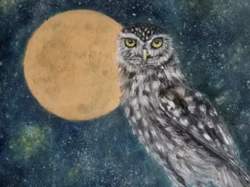 Een schilderij van een steenuil van Gerda Van Hoovels