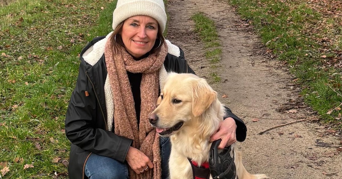 Stad lanceert huisdierenkaart: “In geval van nood kunnen ook dieren geholpen worden”