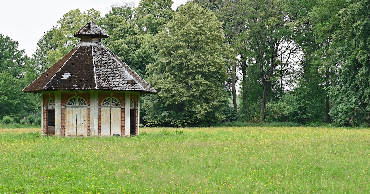 themabeeld-het-park-van-halle