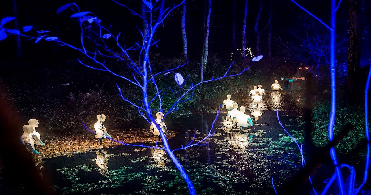 Vrijbroekpark houdt vrijdag vurige winteravond: “Betoverende lichtkunst, gezellige vuurkorven en kra
