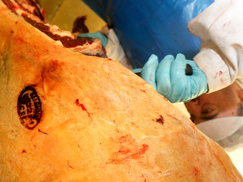 Een slager bewerkt een stuk paardenvlees in een slachthuis in Charleroi.