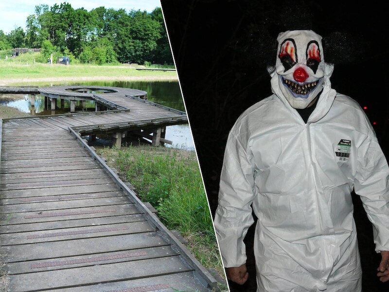 Wat te doen met Halloween in de Vlaamse Ardennen en de Denderstreek? Van bibberpaden tot pompoenwandeling