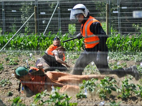 Vorig jaar vernielden actievoerders van het FLM een veld met genetisch gemodifieerde ggo-aardappelen in Wetteren.