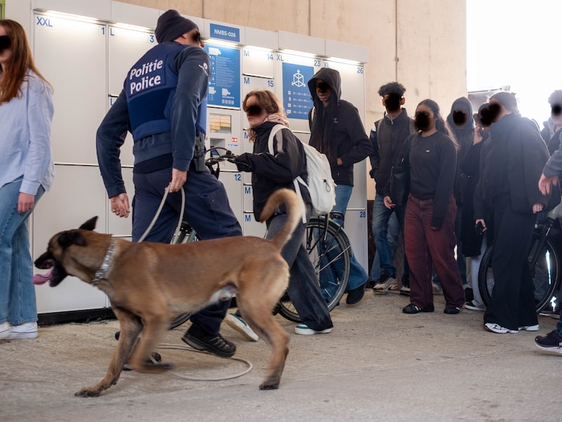 Archiefbeeld. De man werd door een drugshond aangeduid bij een politiecontrole in het station van Mechelen. 