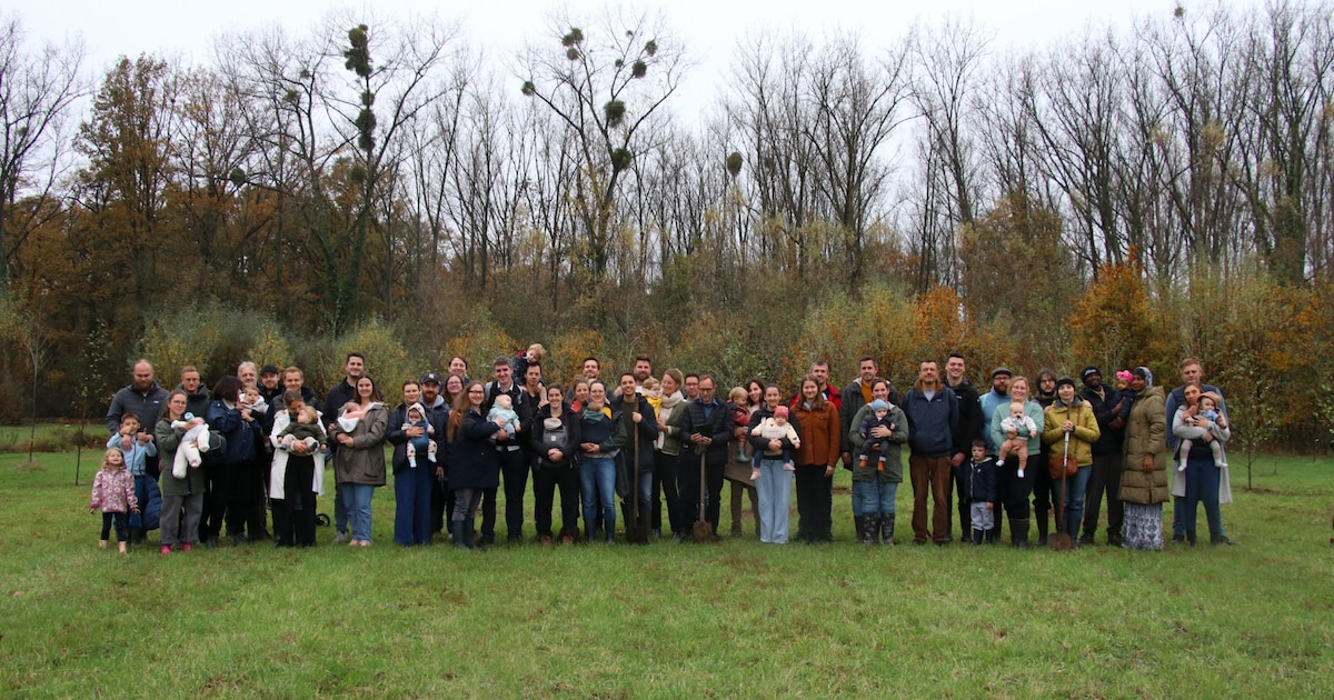 61 geboortebomen ter ere van nieuwgeborenen in Putte: “Leuk dat deze actie elk jaar weer aanslaat”