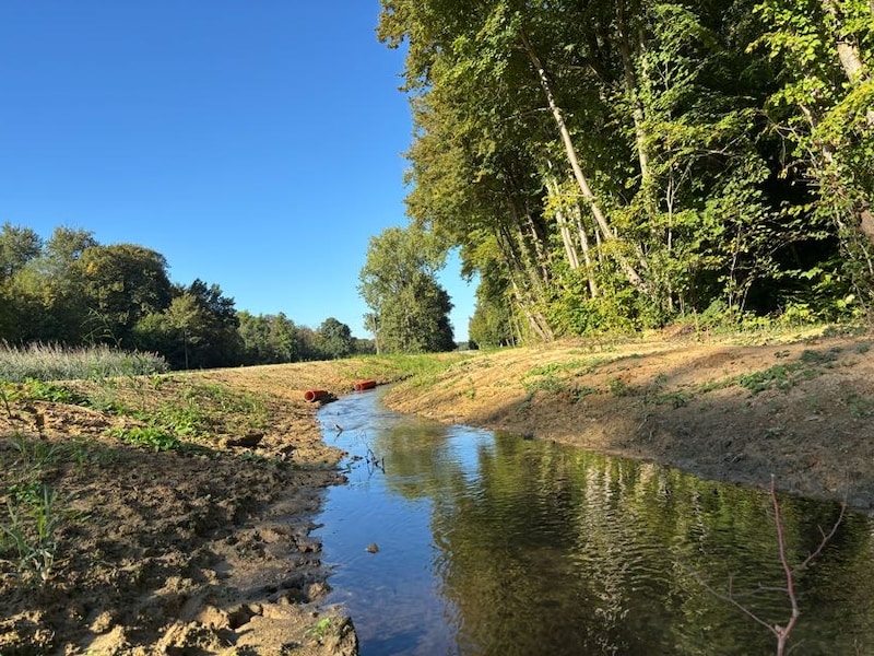 De Vaalbeek krijgt opnieuw ruimte om natuurlijk te stromen.