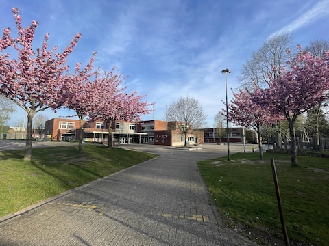 De Hazensprong Oud-Heverlee