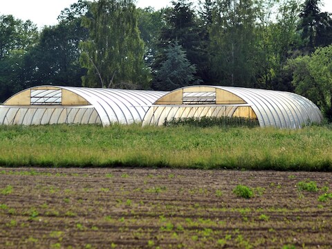Het bewuste tuinbouwbedrijf in het Duitse Uelzen.