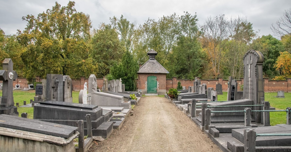 Assen van huisdieren bij eigenaar begraven en meer vrijheid voor graveringen: Sint-Katelijne-Waver p