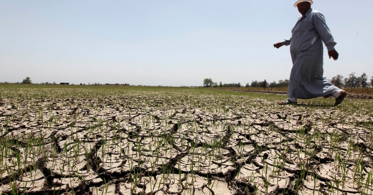 Egypte wacht harde strijd om steeds schaarser water | Nieuws | HLN.be