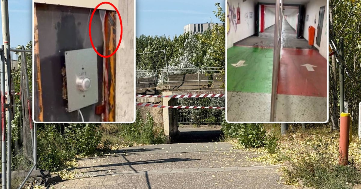 Fietserstunnel onder de Schelde in Antwerpen weer open na waterlek ...