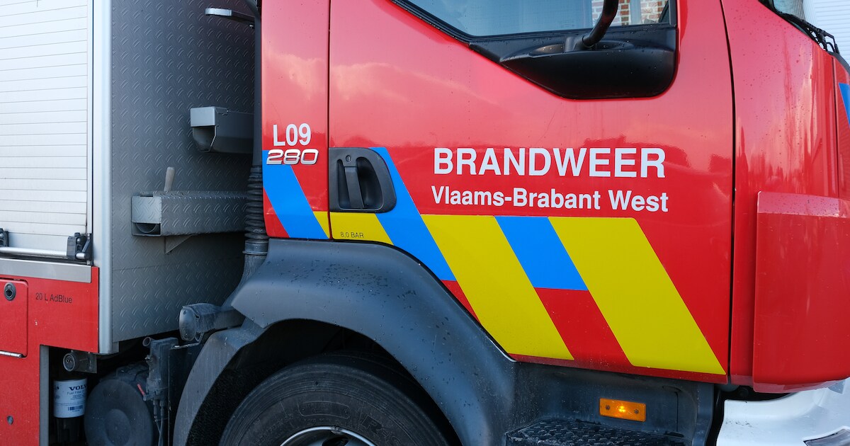 ‘Industriebrand’ bij D’Ieteren blijkt... feestje met vuurkorf bij buren