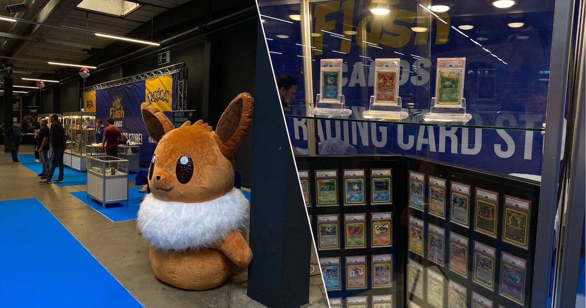 Flash-Cards organiseert de Game & Collect Fun Days in Antwerp Expo ...