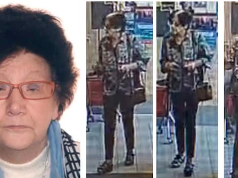 Josée is 1,75 meter lang en slank gebouwd, zee heeft kort zwart haar met een duidelijke witte uitgroei en draagt een bril met donker getinte glazen.