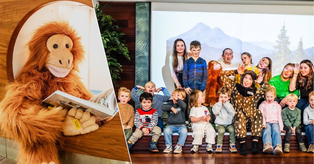 UCLL-studenten starten nieuw voorleesinitiatief ‘VertelMarcel’ in Hasseltse bib