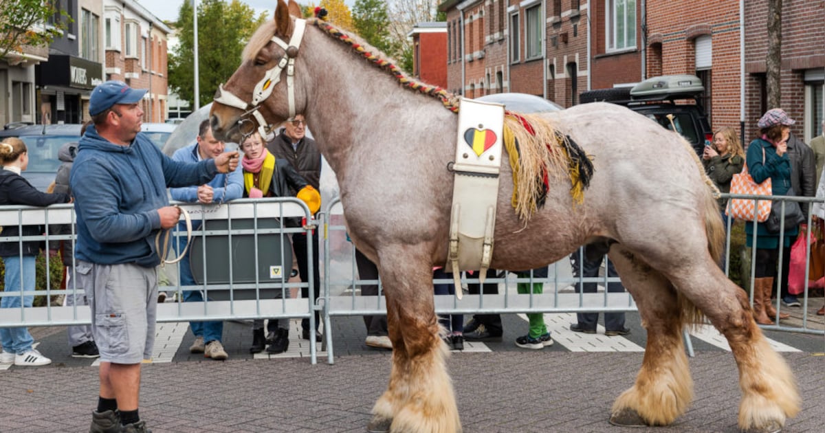 Jaarmarkt Schelle op 18 en 19 oktober