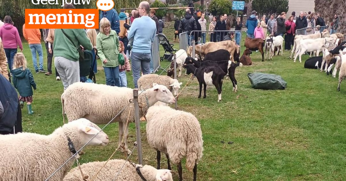 “Het is een traditioneel evenement dat niet mag verdwijnen”: dit vonden jullie van de jaarmarkt van 
