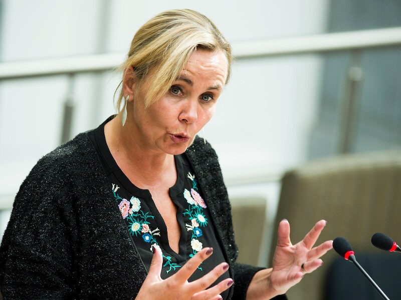 Vlaams minister Liesbeth Homans (N-VA).