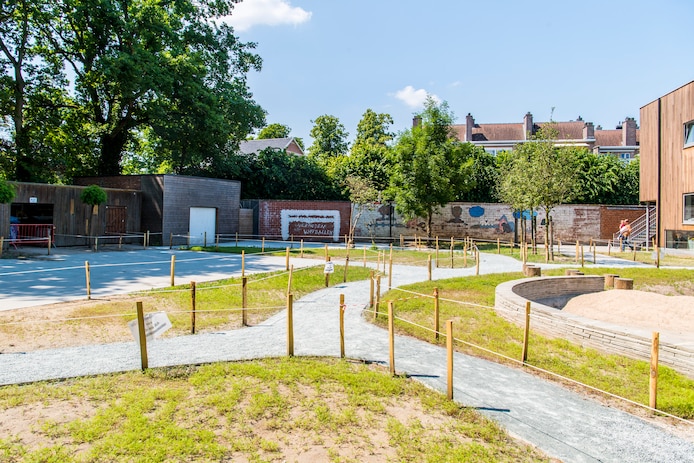 Haven en Merksemse basisschool ontvangen 40.000 euro klimaatpremie voor ...