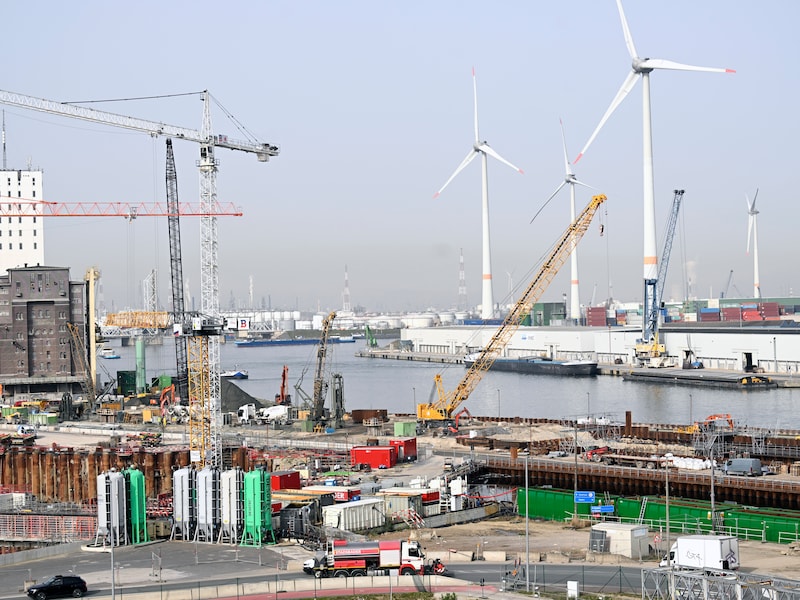 De haven van Antwerpen (beeld ter illustratie)