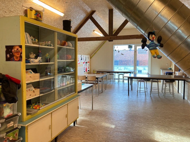Tuinhier Woesten geeft praktische tips voor gezonde kamerplanten