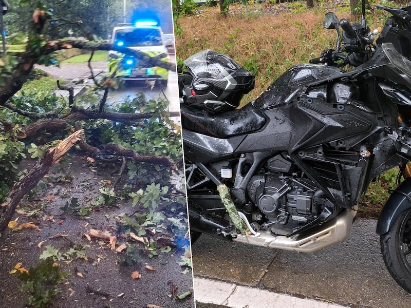 De 54-jarige Carl uit Malle kreeg zondag een zware tak op zijn hoofd tijdens een ritje met zijn motor.
