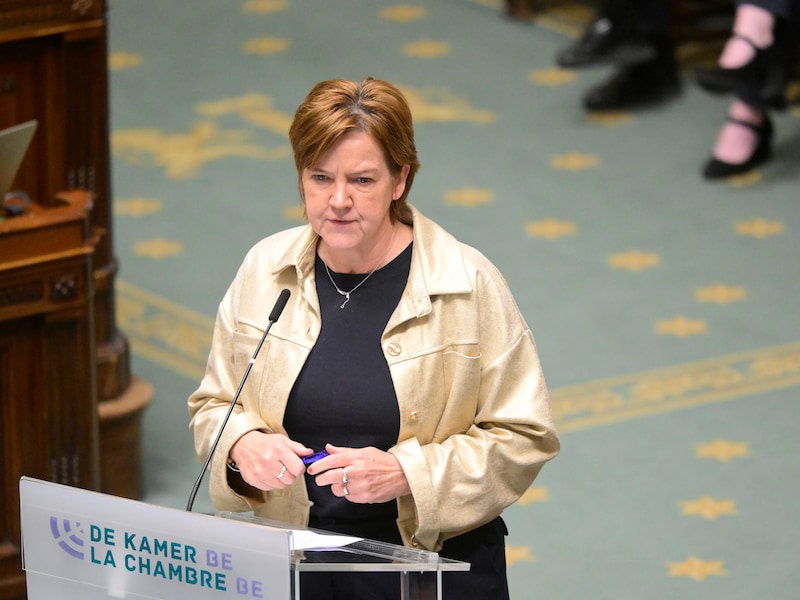 Kamerlid Els Van Hoof (CD&V) heeft het voorstel ingediend.