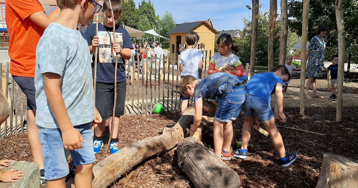Basisschool De Springplank laat groot gedeelte van speelplaats ...