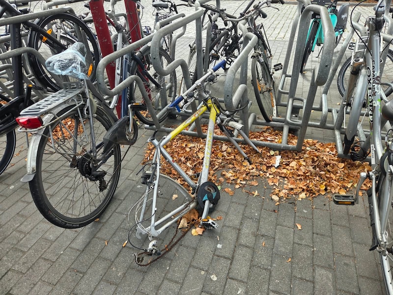 N-VA vraagt achtergelaten fietsen sneller weg te halen: “Sommige fietsenstallingen lijken op een fietsenkerkhof”