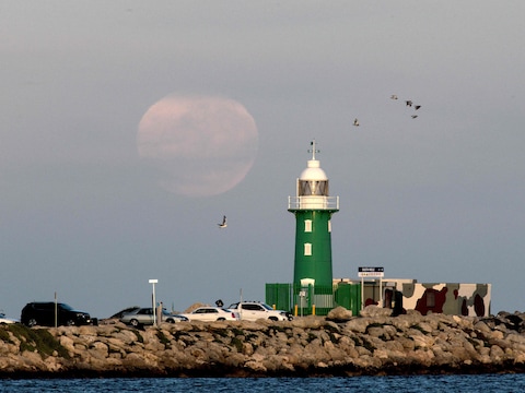 Vogels vliegen langs een vuurtoren in Fremantle, in het westen van Australië. Archiefbeeld.