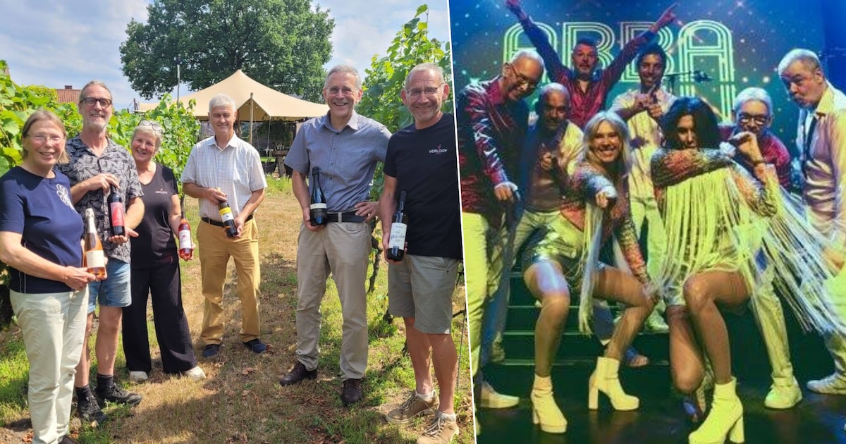Wat te doen in de Kempen dit weekend? Van een bezoek aan een wijngaard tot meezingen met ABBA-hits