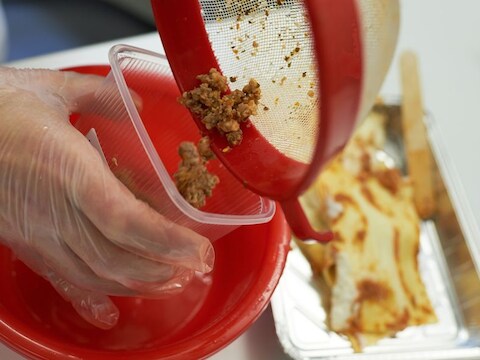 Archiefbeeld. Het vlees uit de lasagnes wordt gecontroleerd.