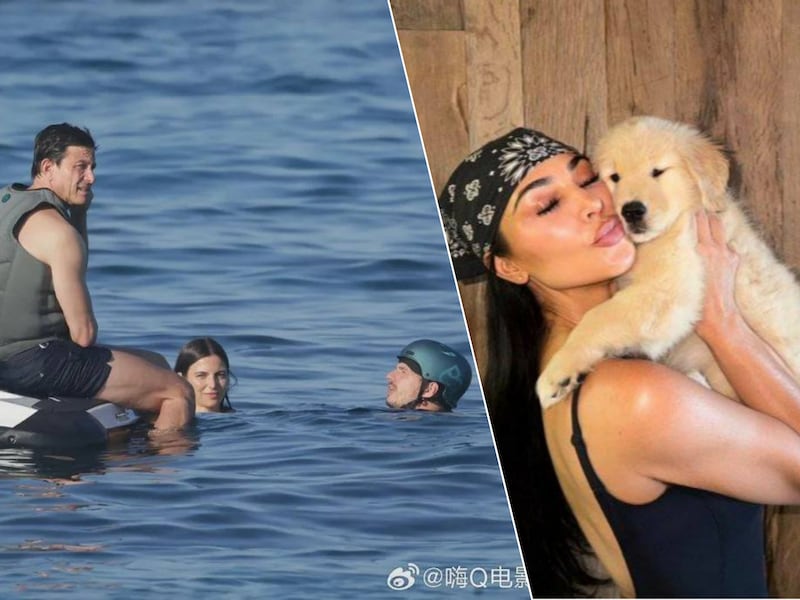 Max Verstappen op bezoek bij Toto Wolff en nieuwe puppy voor Lewis Hamilton en Kim Kardashian: zo komen F1-coureurs de zomer door
