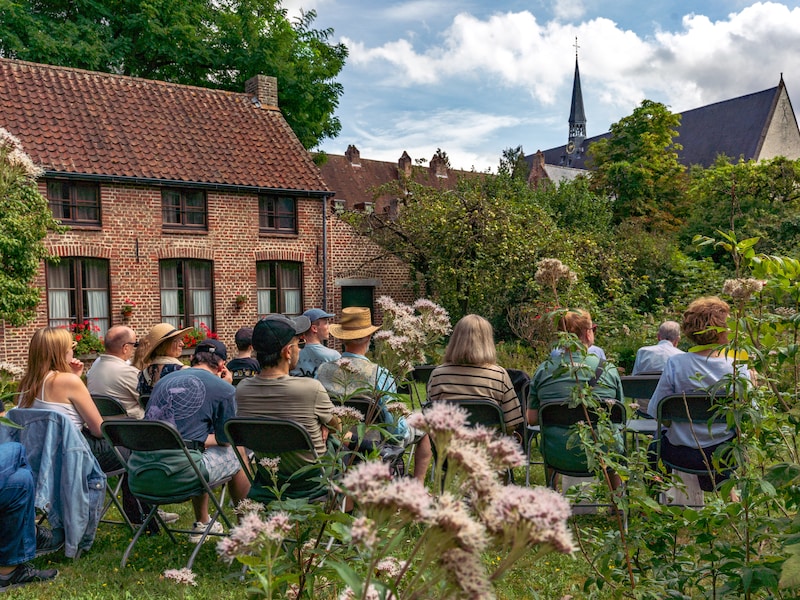 Wat te doen in Leuven en het Hageland dit weekend? Van Leuven Bells tot een maïsdoolhof