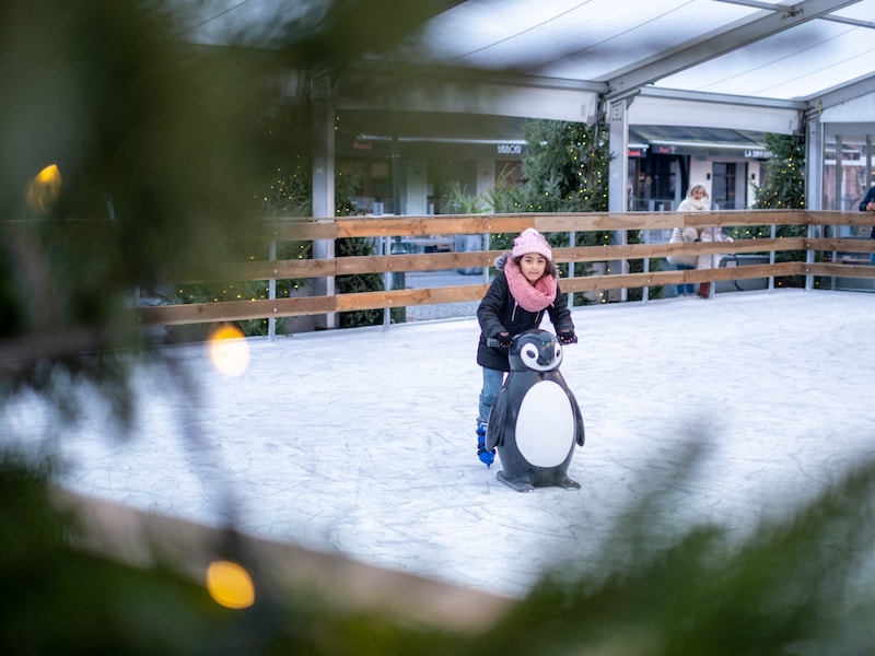 IJspiste op winterBornemland.